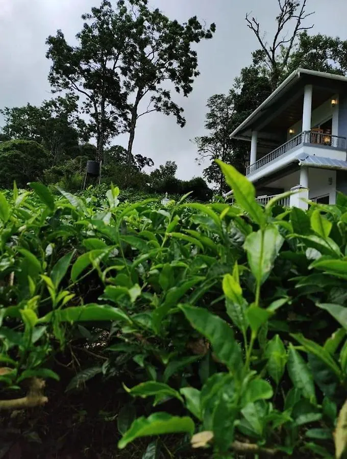 The Nirvana Resort Munnar