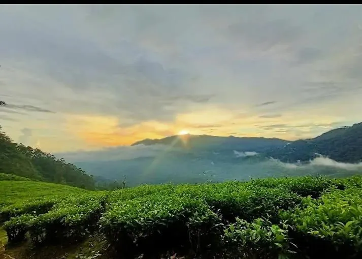 The Nirvana Resort Munnar India