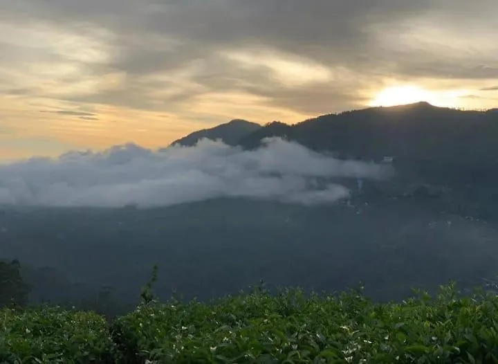 The Nirvana Resort Munnar